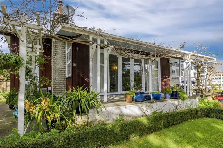 Photo of property in 16 Stuart Street, Levin, 5510