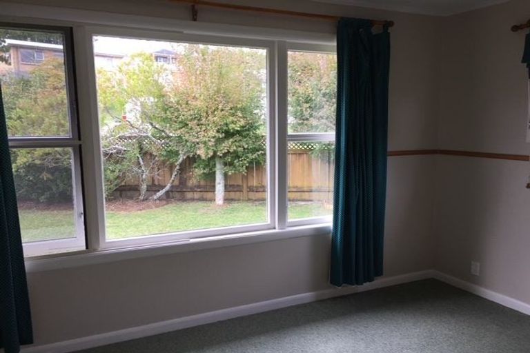 Photo of property in 19 Kakanui Avenue, Hillcrest, Hamilton, 3216