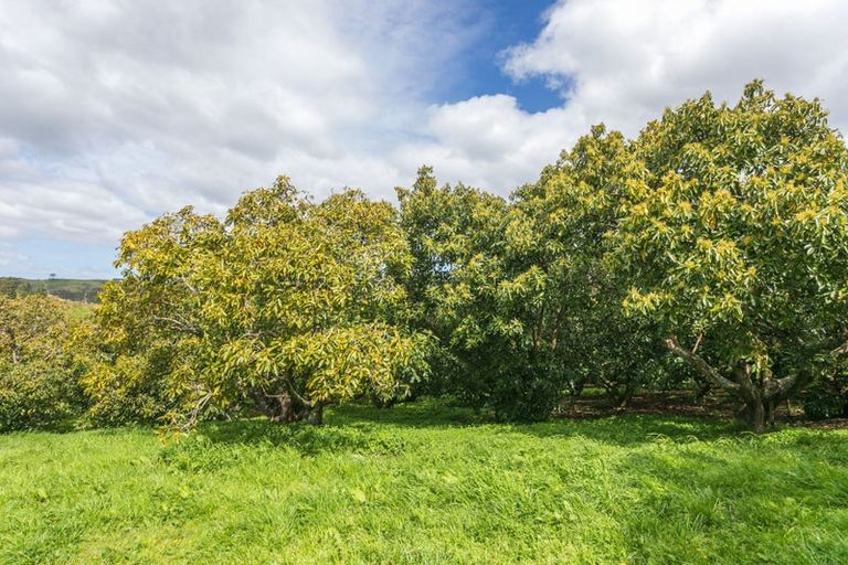 Photo of property in 231 Walford Road, Aongatete, Katikati, 3181