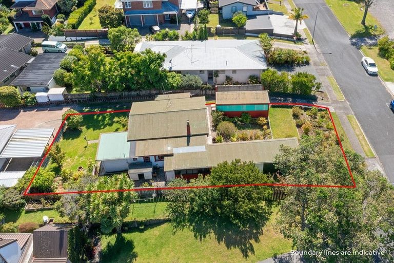 Photo of property in 51 Ririnui Place, Maungatapu, Tauranga, 3112