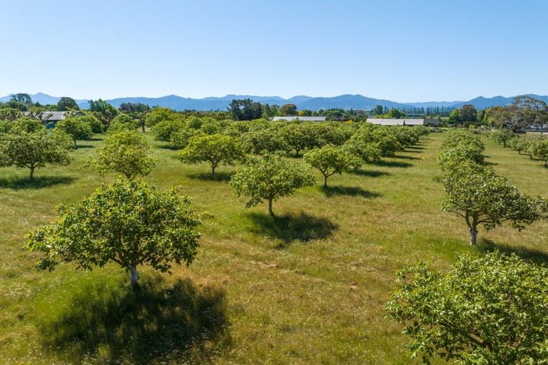 Photo of property in 187 Wither Road, Witherlea, Blenheim, 7201