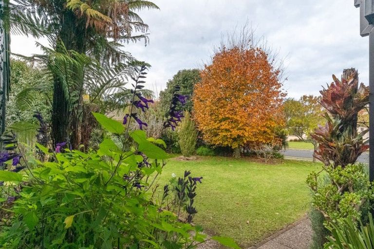 Photo of property in 22 Weka Street, Matamata, 3400