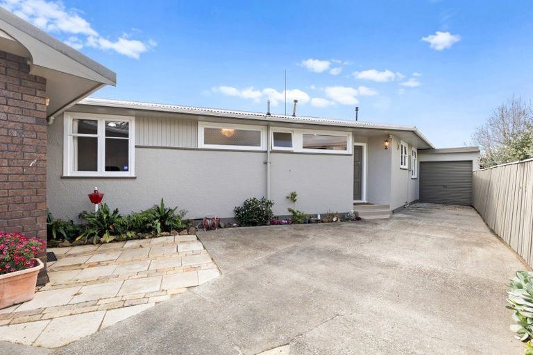Photo of property in 164 Limbrick Street, Terrace End, Palmerston North, 4410
