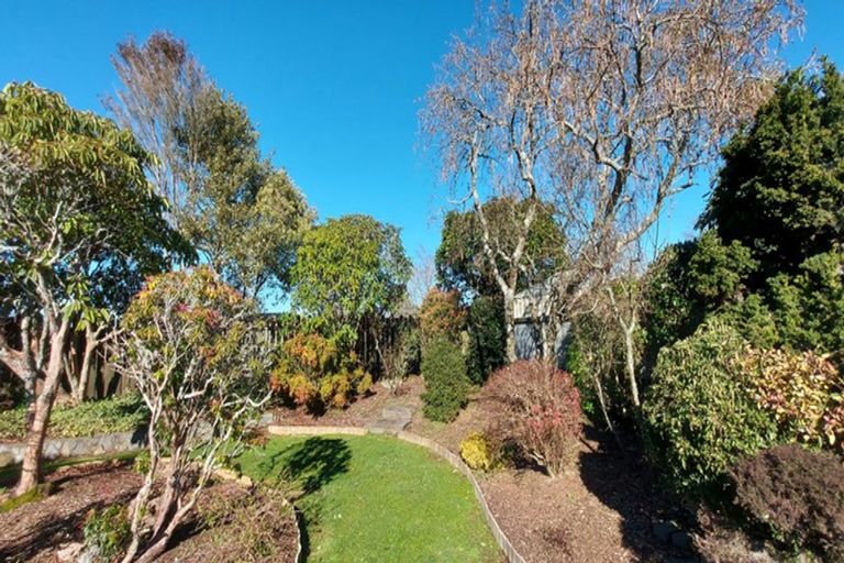 Photo of property in 51 Celia Street, Stratford, 4332