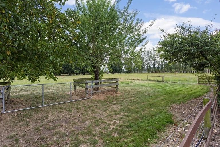 Photo of property in 41 Hazlett Road, Mosgiel, 9092