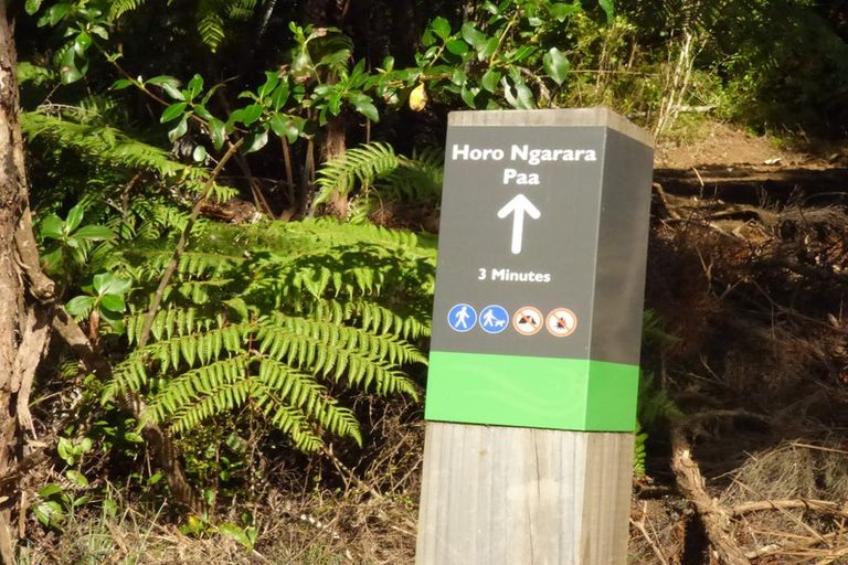 Photo of property in 6 Ryan Road, Te Akau, Ngaruawahia, 3793