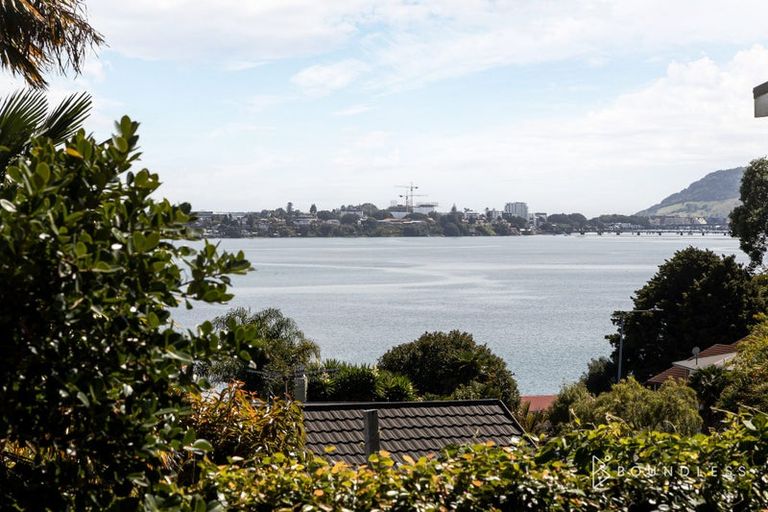 Photo of property in 204 Maungatapu Road, Maungatapu, Tauranga, 3112