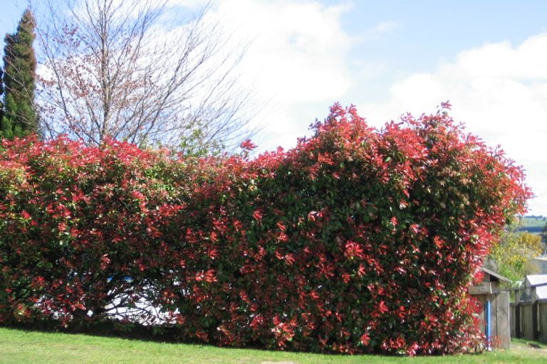 Photo of property in 133 Elizabeth Street, Tauhara, Taupo, 3330