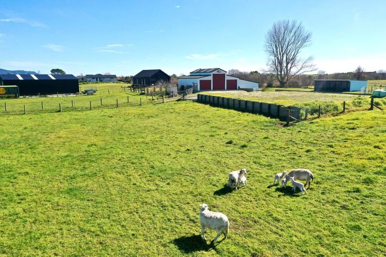 Photo of property in 1110 Thornton Road, Matata, Whakatane, 3194