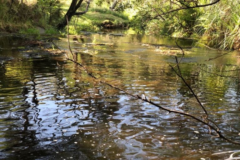 Photo of property in 728 Peak Road, Helensville, 0875