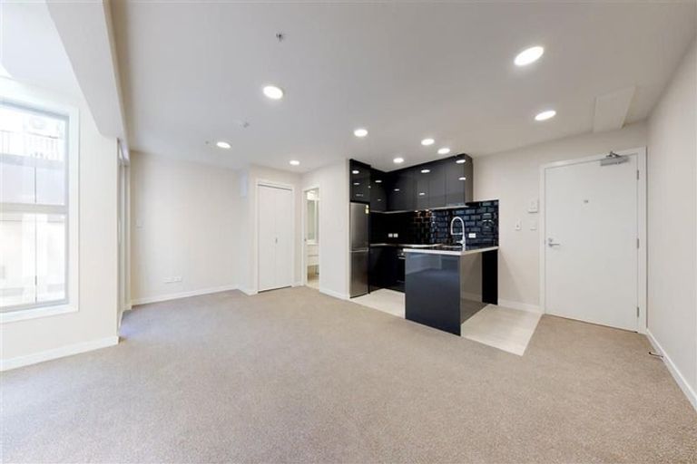 Photo of property in 294u1 Willis Street, Aro Valley, Wellington, 6011