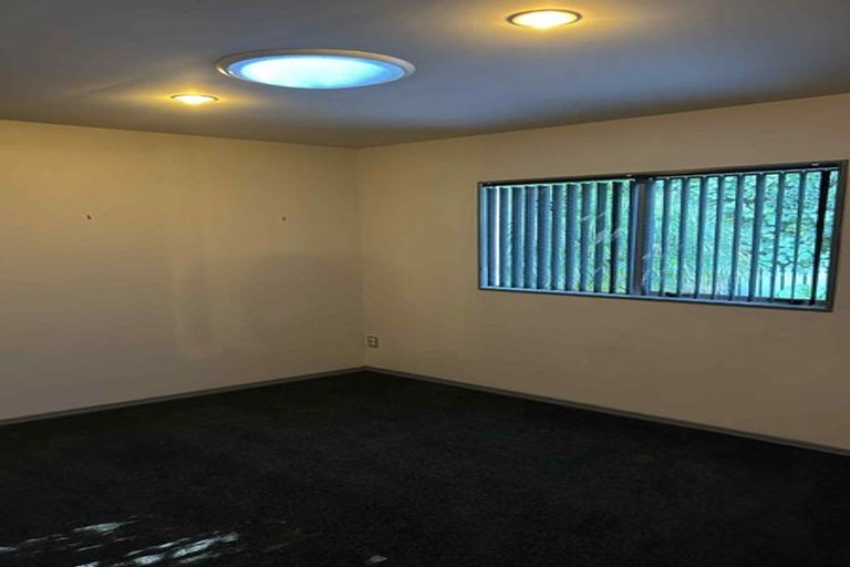 Photo of property in 14 Bush View Lane, Northcote Point, Auckland, 0627