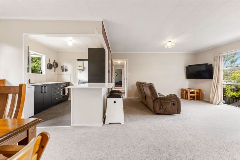 Photo of property in 58 Hindmarsh Street, Henderson, Auckland, 0612