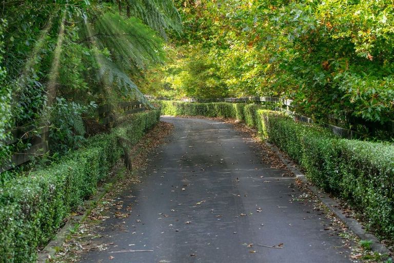 Photo of property in 227 Heard Road, Waihi, 3681