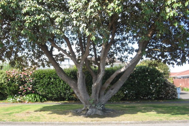 Photo of property in 26b Grey Street, Glenholme, Rotorua, 3010