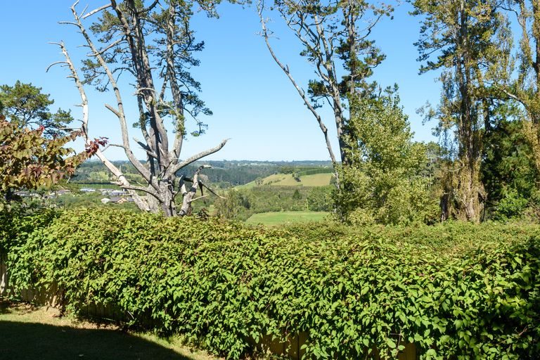 Photo of property in 49 Teal Place, Pyes Pa, Tauranga, 3112