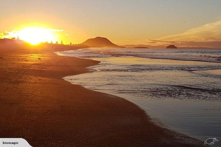Photo of property in 19 Kaimanawa Street, Mount Maunganui, 3116
