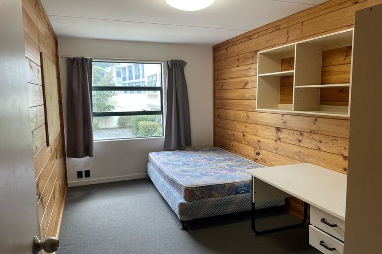 Photo of property in Te Awhina Apartments, 27/22u Sussex Street, Mount Cook, Wellington, 6021