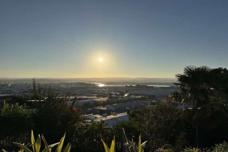 Photo of property in 56 Simla Terrace, Hospital Hill, Napier, 4110
