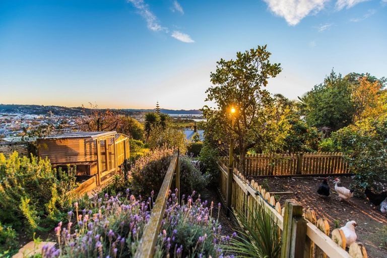 Photo of property in 35 Iwa Road, The Wood, Nelson, 7010