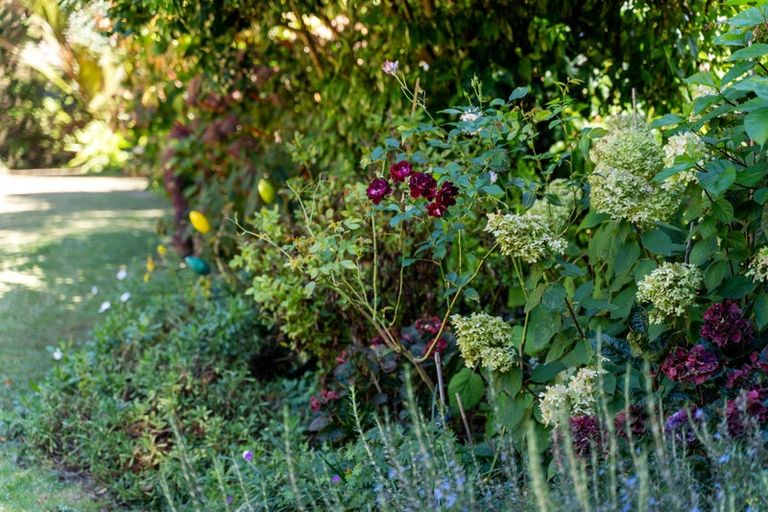 Photo of property in 15 Turiapua Lane, Parua Bay, Whangarei, 0174