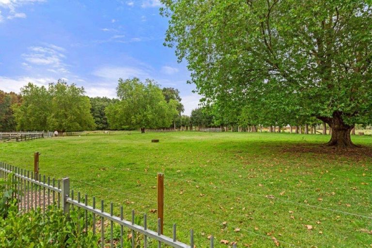 Photo of property in 248a Tauwhare Road, Tamahere, Hamilton, 3283