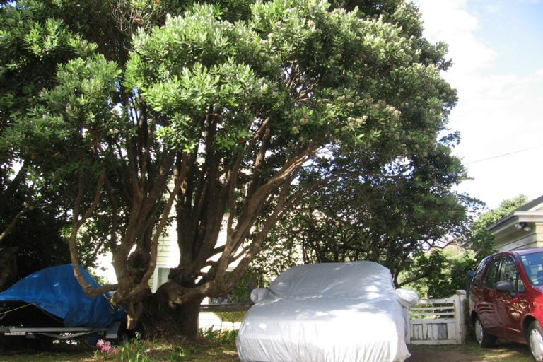 Photo of property in 55 Falkirk Avenue, Seatoun, Wellington, 6022