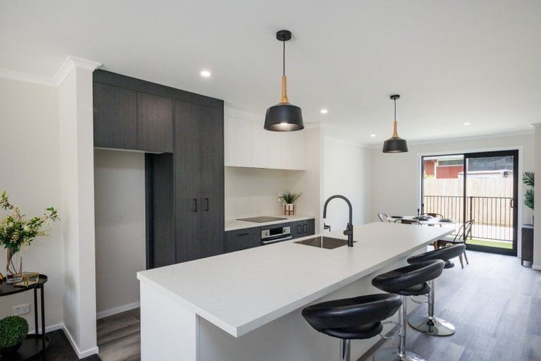 Photo of property in 103 Botanical Road, Takaro, Palmerston North, 4412