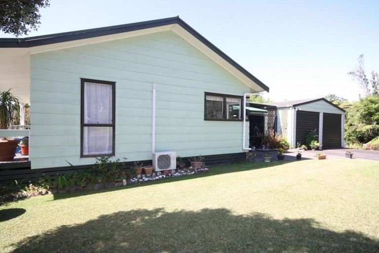 Photo of property in 101 Avalon Place, Whangamata, 3620