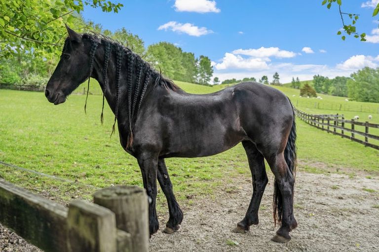 Photo of property in 73 Valerie Close, Warkworth, 0983