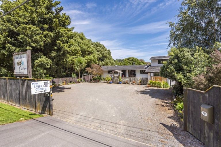 Photo of property in 222 Main Road South, Raumati South, Paraparaumu, 5032