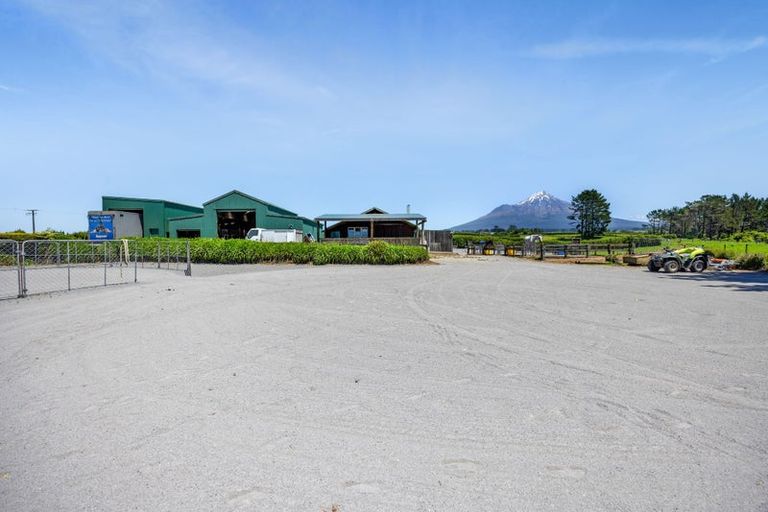 Photo of property in 1 Waingongoro Road, Cardiff, Stratford, 4391