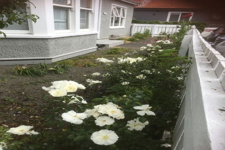 Photo of property in 14 Freyberg Street, Roslyn, Palmerston North, 4414