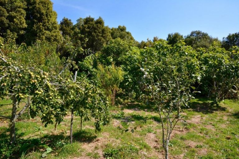 Photo of property in 107 South Terrace Road, Karamea, 7893