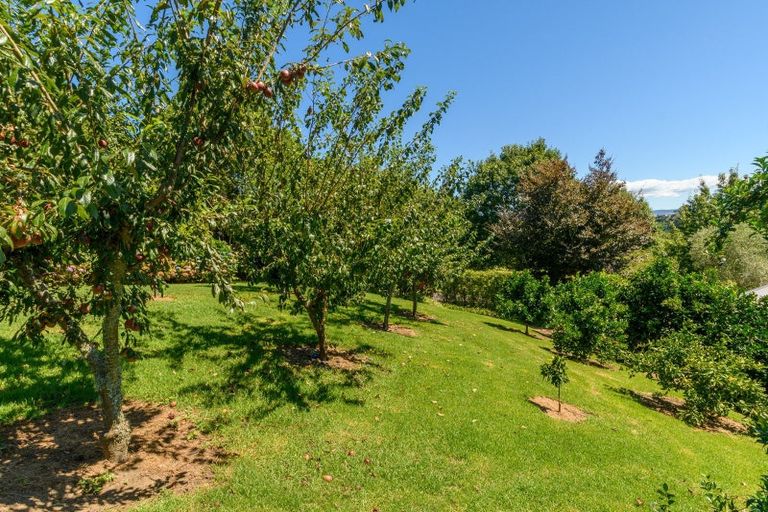 Photo of property in 10r Phillips Drive, Oropi, Tauranga, 3173