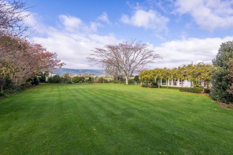 Photo of property in 26 Homewood Avenue, Levin, 5510