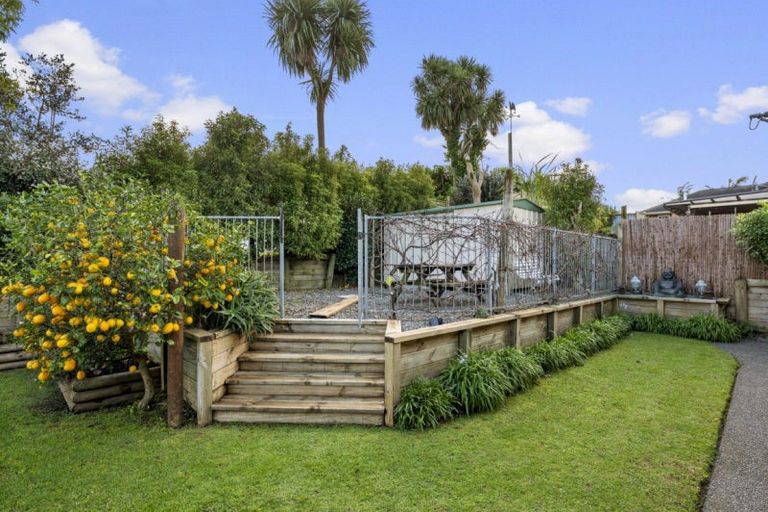 Photo of property in 19 Marire Drive, Ohauiti, Tauranga, 3112