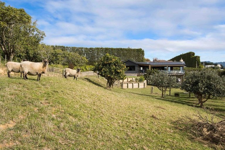 Photo of property in 261b Walker Road East, Aongatete, 3178