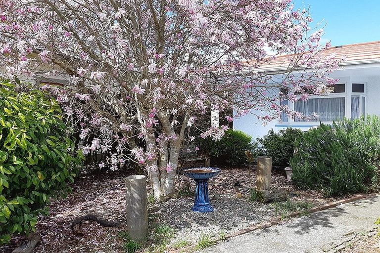 Photo of property in 19 Page Street, Stratford, 4332