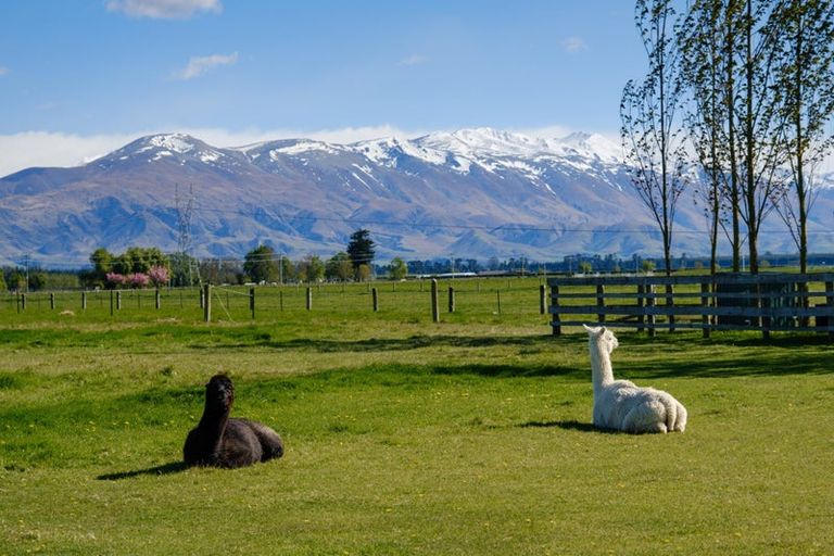 Photo of property in 312 Clayton Road, Ashwick Flat, Fairlie, 7987