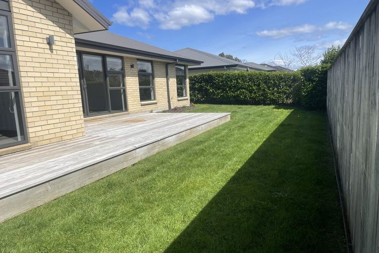 Photo of property in 5 Feijoa Way, Richmond, 7020
