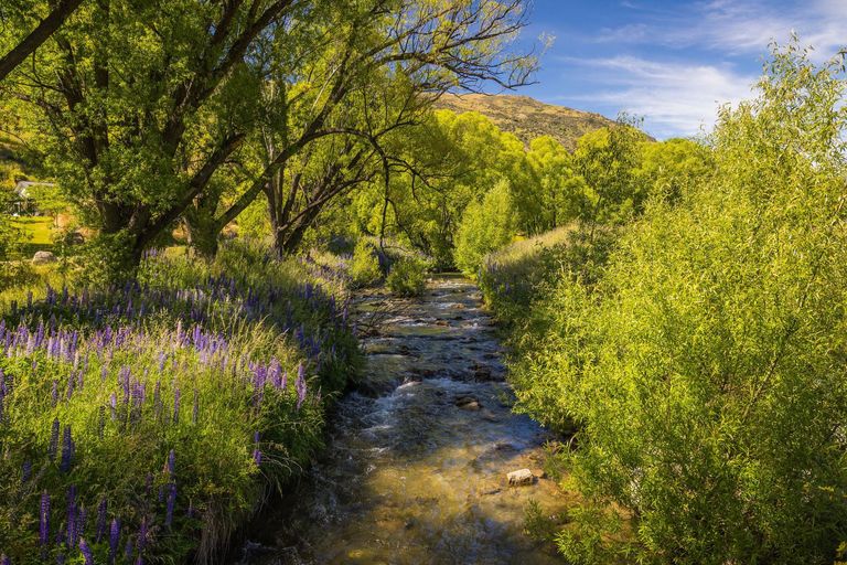 Photo of property in 2347 Cardrona Valley Road, Cardrona, Wanaka, 9382