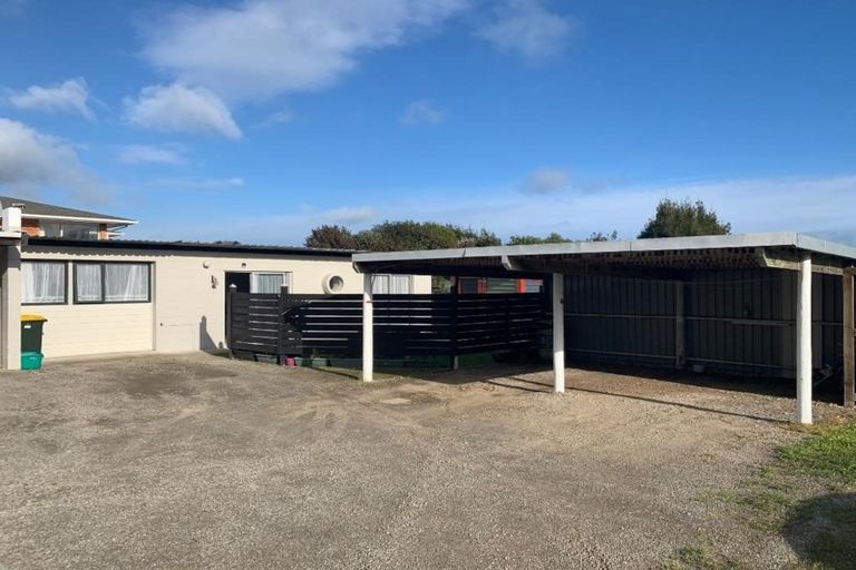 Photo of property in 119a Tiro Tiro Road, Levin, 5510