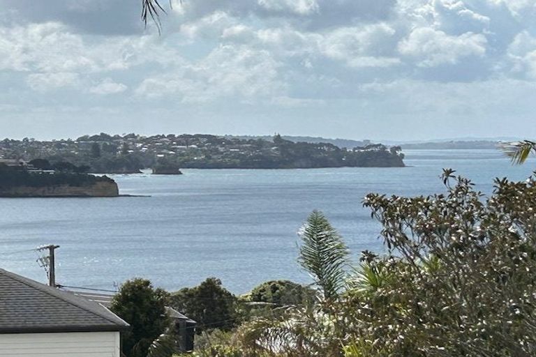 Photo of property in 17 Rothesay Bay Road, Rothesay Bay, Auckland, 0630
