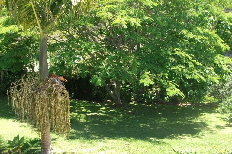 Photo of property in 8 Wilson Avenue, Avenues, Whangarei, 0110