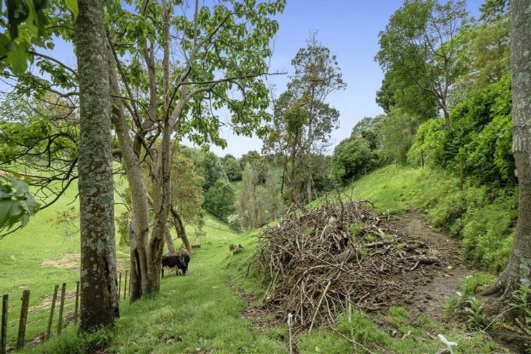 Photo of property in 7 Furniss Lane, Tauriko, Tauranga, 3110