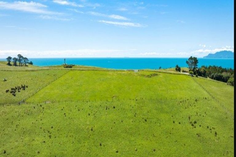 Photo of property in 98 Cape Rodney Road, Leigh, 0985