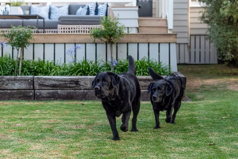 Photo of property in 79 Hinemoa Street, Birkenhead, Auckland, 0626