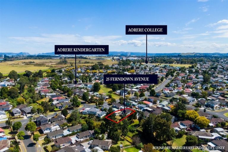 Photo of property in 25 Ferndown Avenue, Papatoetoe, Auckland, 2025