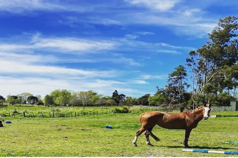 Photo of property in 1291 Old North Road, Helensville, 0875